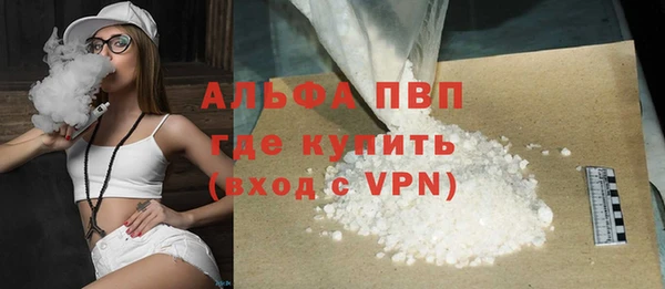 индика Балахна