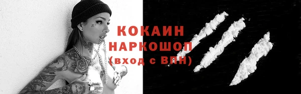 индика Балахна