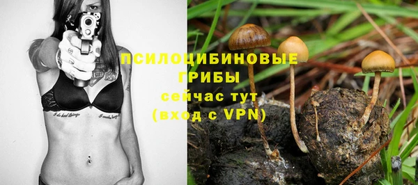 Альфа ПВП Гусь-Хрустальный