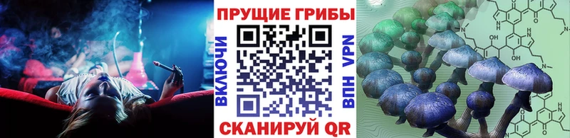 закладка  Спас-Деменск  Псилоцибиновые грибы ЛСД 