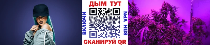 Канабис White Widow  kraken зеркало  Спас-Деменск  где можно купить  